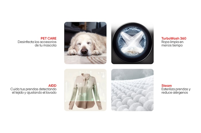 imagen con diferentes espacios que no afecta con tu ropa ni con tu mascota